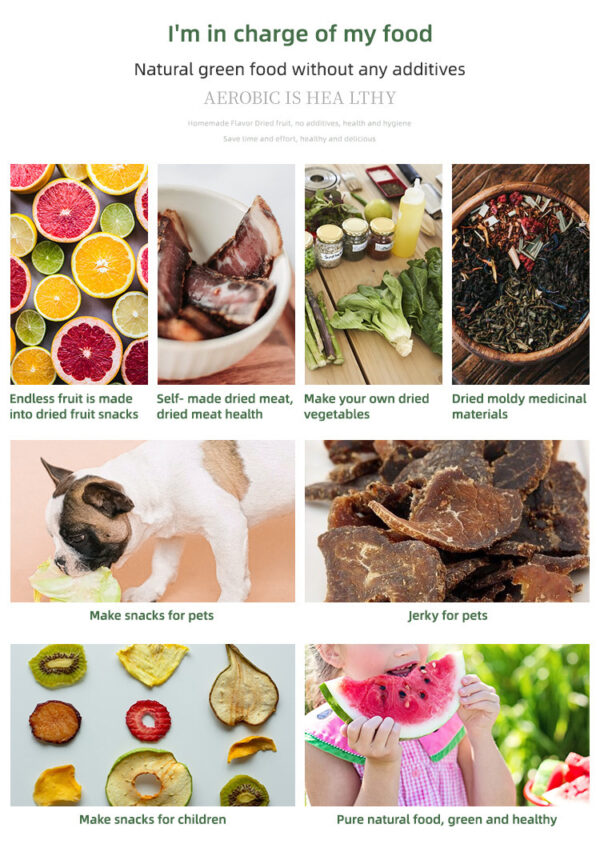 Dry Fruit Household Food Dehydrated Food Air Dryer - Image 2